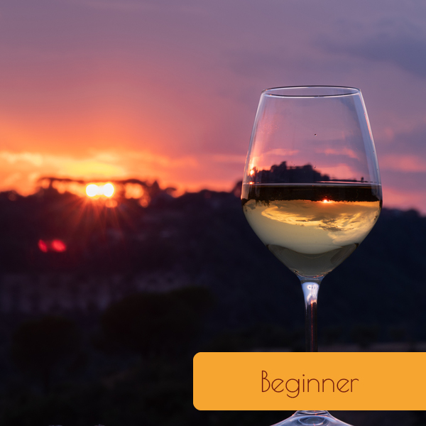 Workshop Springwines -