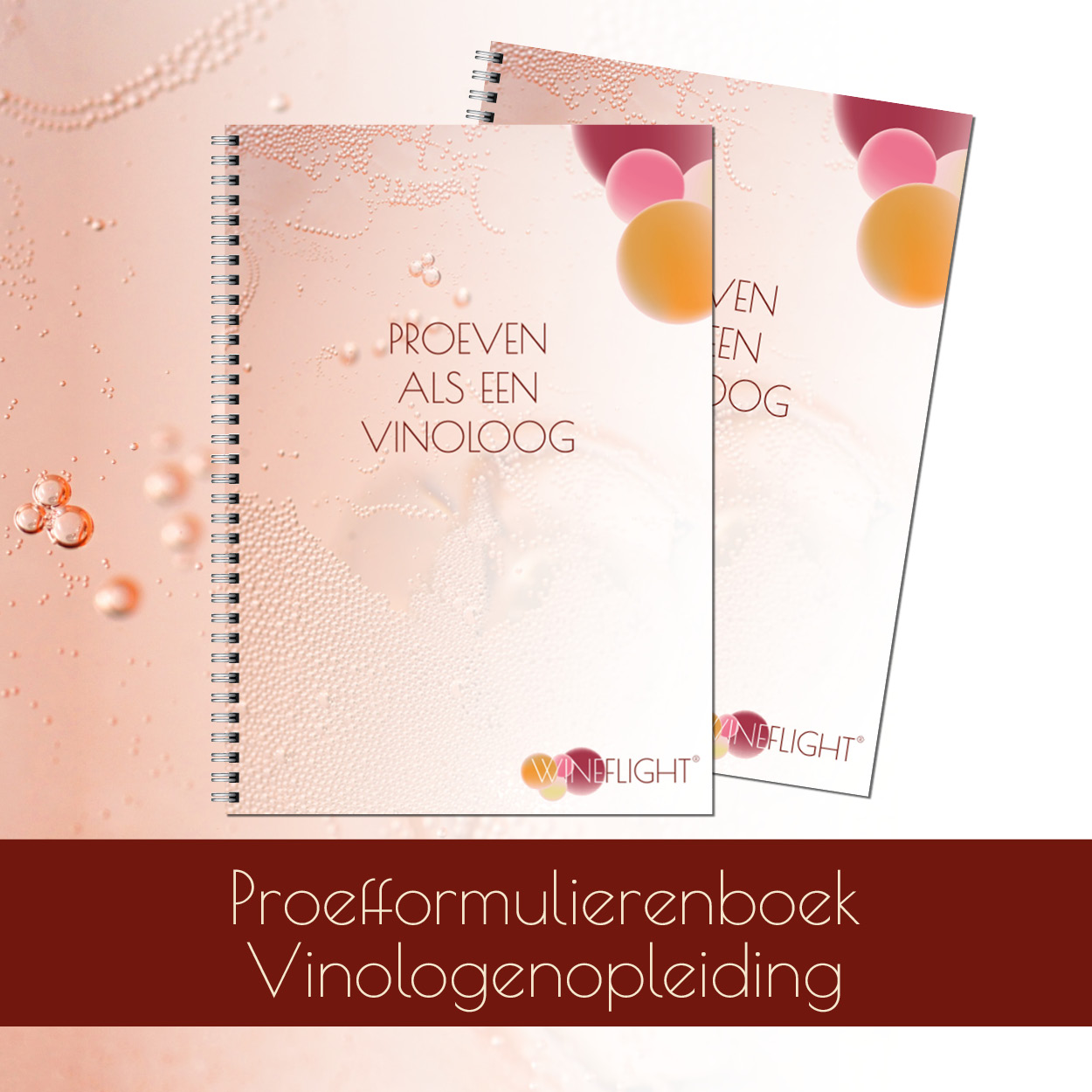 Programma Proefformulieren boek