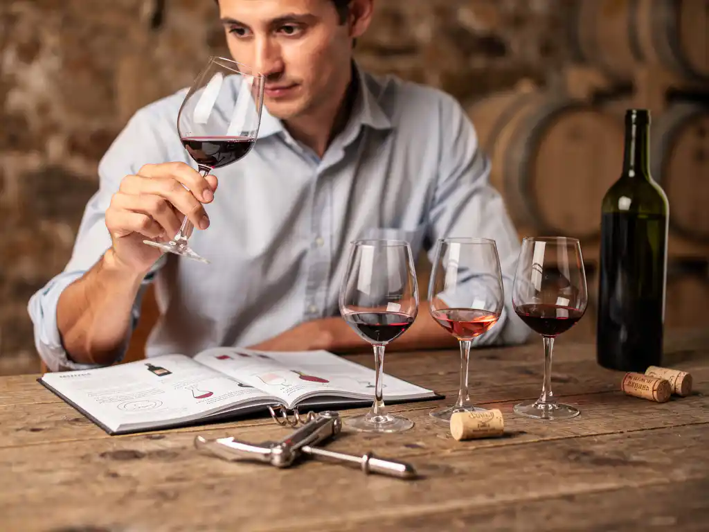 Hoe kan ik vinoloog worden?