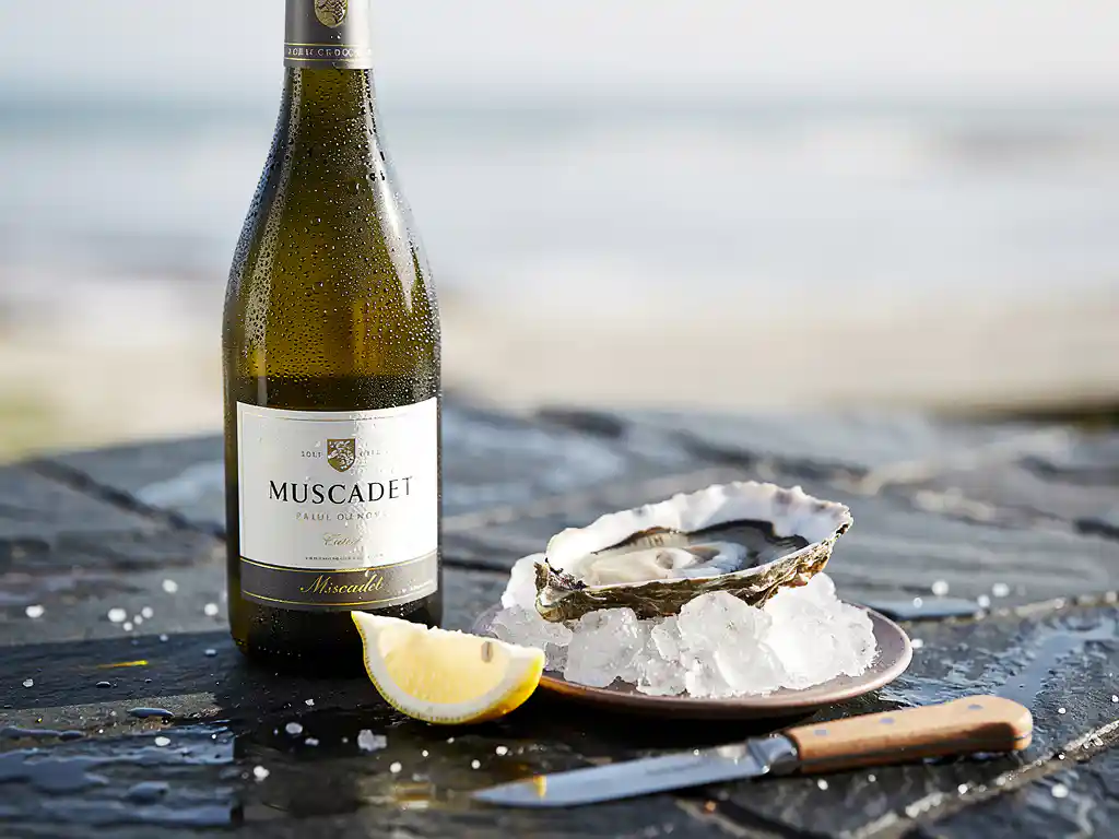 Waarom past zeevruchten zo goed bij Muscadet?